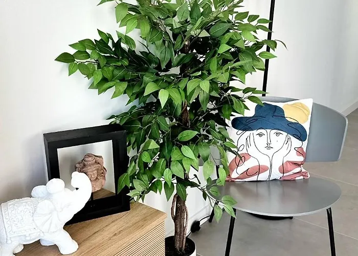 Paradise Apartmán Pegeia