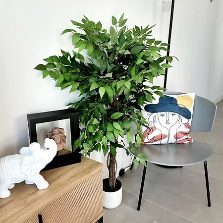 Paradise Apartment Peyia